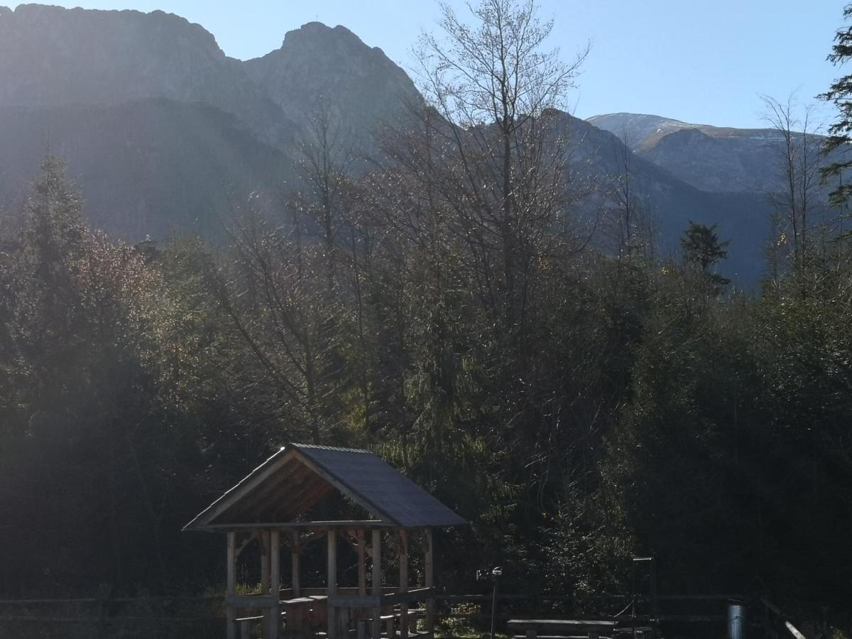 Willa Nika, Apartamenty Zakopane Exteriör bild